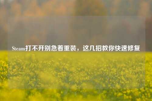Steam打不开别急着重装，这几招教你快速修复