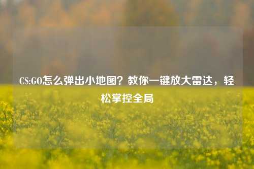 CS:GO怎么弹出小地图？教你一键放大雷达，轻松掌控全局