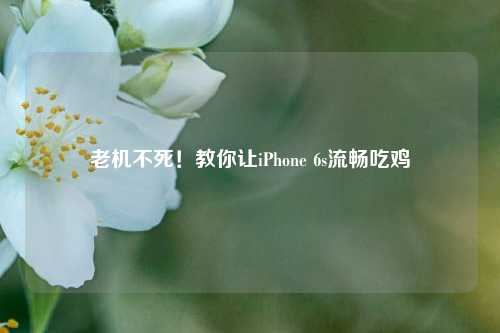 老机不死！教你让iPhone 6s流畅吃鸡