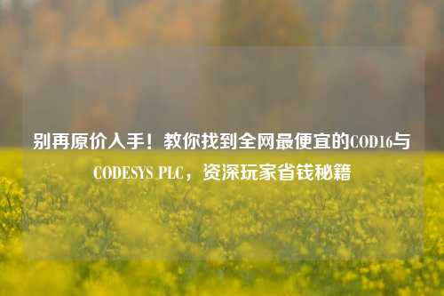 别再原价入手！教你找到全网最便宜的COD16与CODESYS PLC，资深玩家省钱秘籍