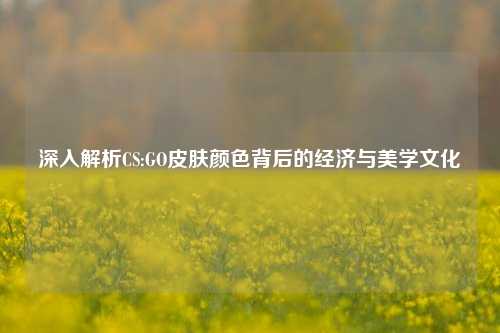 深入解析CS:GO皮肤颜色背后的经济与美学文化