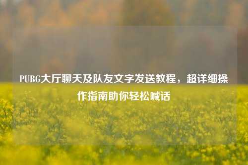 PUBG大厅聊天及队友文字发送教程,超详细操作指南助你轻松喊话