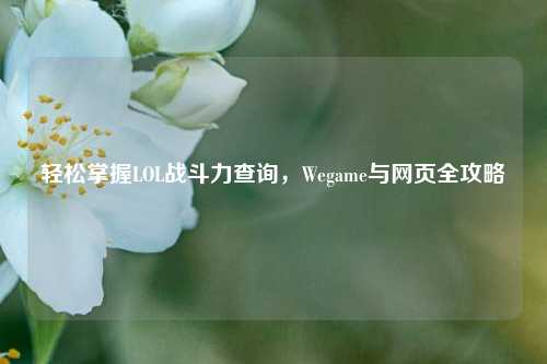 轻松掌握LOL战斗力查询，Wegame与网页全攻略