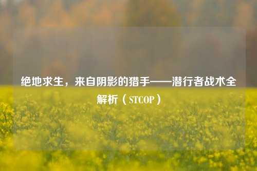 绝地求生，来自阴影的猎手——潜行者战术全解析（STCOP）