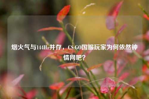 烟火气与144Hz并存，CS:GO国服玩家为何依然钟情网吧？