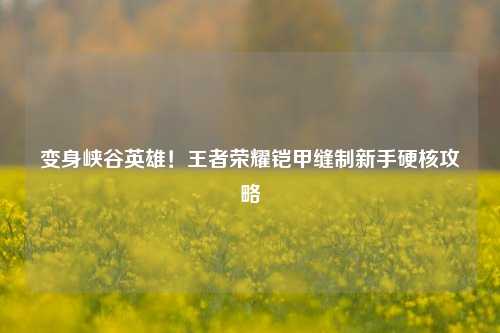 变身峡谷英雄！王者荣耀铠甲缝制新手硬核攻略