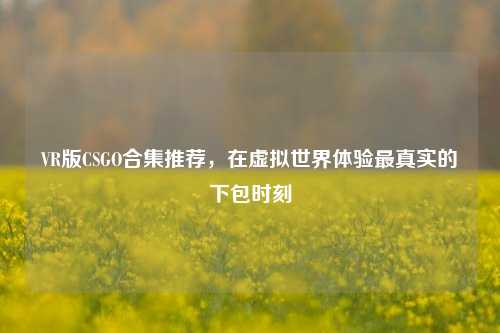 VR版CSGO合集推荐，在虚拟世界体验最真实的下包时刻