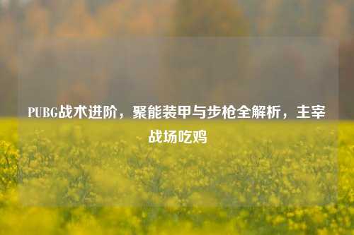PUBG战术进阶,聚能装甲与步枪全解析,主宰战场吃鸡