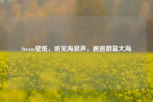 Steam壁纸，听见海浪声，邂逅蔚蓝大海