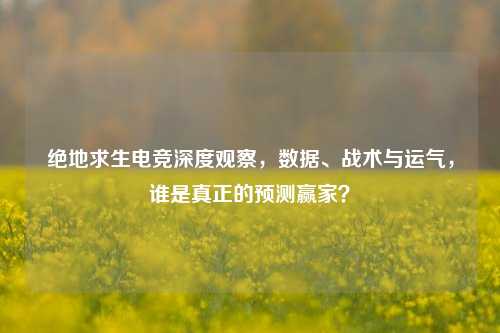 绝地求生电竞深度观察，数据、战术与运气，谁是真正的预测赢家？