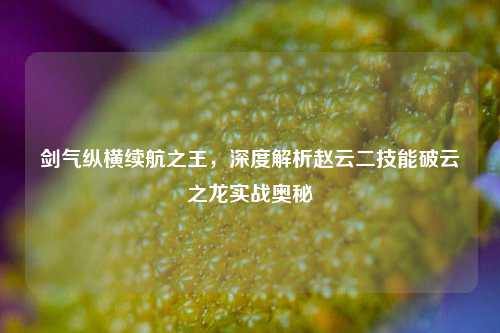 剑气纵横续航之王，深度解析赵云二技能破云之龙实战奥秘
