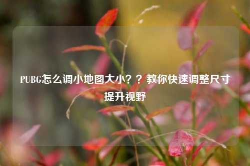 PUBG怎么调小地图大小？？教你快速调整尺寸提升视野