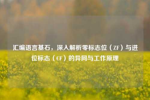 汇编语言基石,深入解析零标志位(ZF)与进位标志(CF)的异同与工作原理