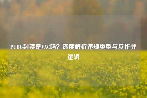 PUBG封禁是VAC吗？深度解析违规类型与反作弊逻辑