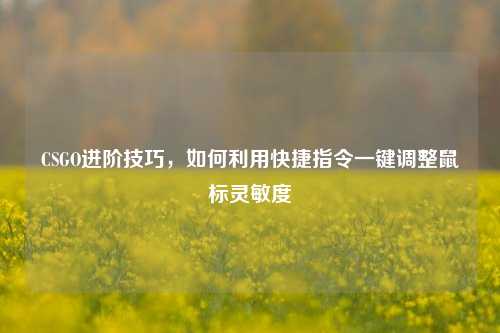 CSGO进阶技巧，如何利用快捷指令一键调整鼠标灵敏度