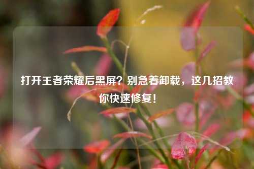 打开王者荣耀后黑屏？别急着卸载，这几招教你快速修复！