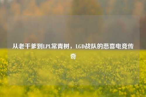 从老干爹到LPL常青树，LGD战队的悲喜电竞传奇