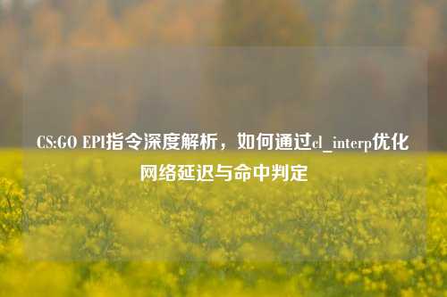 CS:GO EPI指令深度解析，如何通过cl_interp优化网络延迟与命中判定
