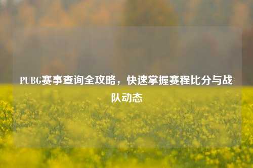 PUBG赛事查询全攻略，快速掌握赛程比分与战队动态