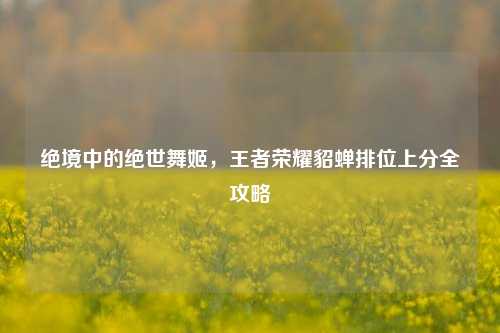 绝境中的绝世舞姬，王者荣耀貂蝉排位上分全攻略