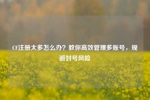 CF注册太多怎么办？教你高效管理多账号，规避封号风险