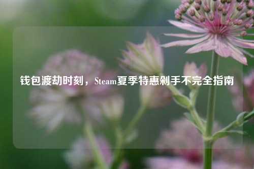 钱包渡劫时刻，Steam夏季特惠剁手不完全指南