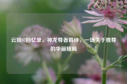 云顶S7回忆录，神龙尊者羁绊，一场关于独尊的华丽赌局
