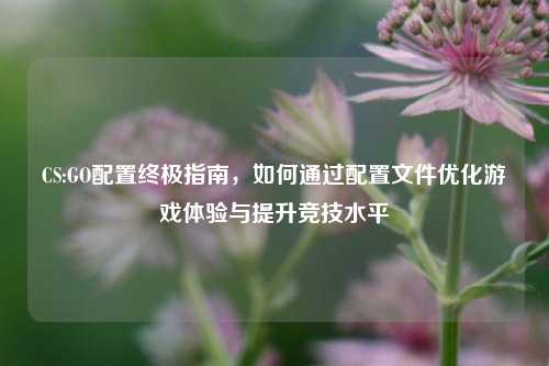 CS:GO配置终极指南，如何通过配置文件优化游戏体验与提升竞技水平