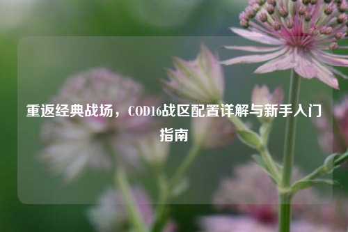 重返经典战场，COD16战区配置详解与新手入门指南