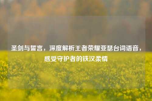圣剑与誓言，深度解析王者荣耀亚瑟台词语音，感受守护者的铁汉柔情