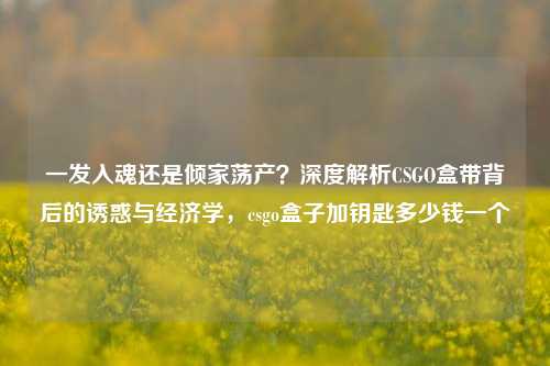 一发入魂还是倾家荡产？深度解析CSGO盒带背后的诱惑与经济学，csgo盒子加钥匙多少钱一个