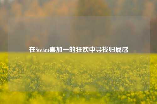 在Steam喜加一的狂欢中寻找归属感