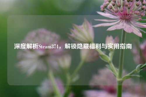 深度解析Steam374，解锁隐藏福利与实用指南