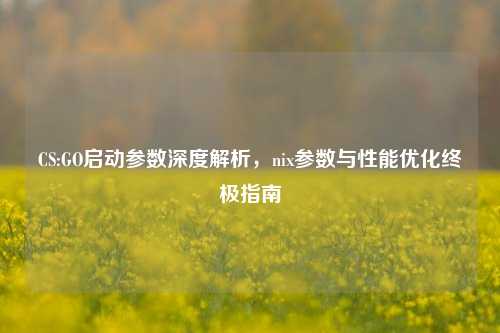 CS:GO启动参数深度解析，nix参数与性能优化终极指南
