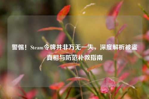 警惕！Steam令牌并非万无一失，深度解析被盗真相与防范补救指南