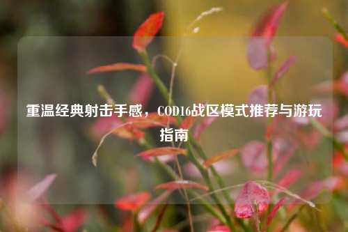 重温经典射击手感，COD16战区模式推荐与游玩指南