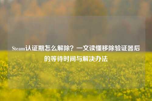 Steam认证期怎么解除？一文读懂移除验证器后的等待时间与解决办法