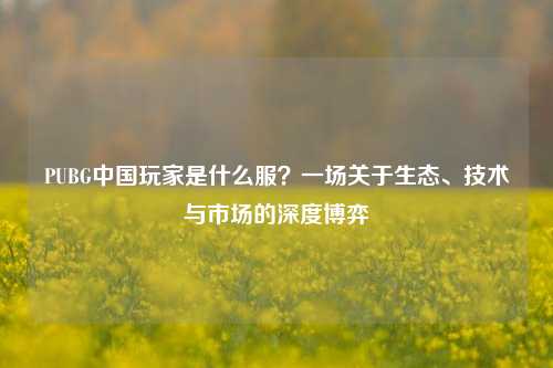 PUBG中国玩家是什么服？一场关于生态、技术与市场的深度博弈