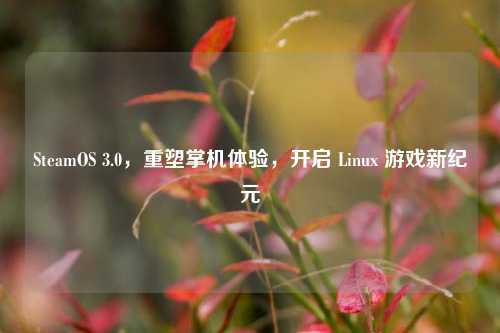 SteamOS 3.0，重塑掌机体验，开启 Linux 游戏新纪元