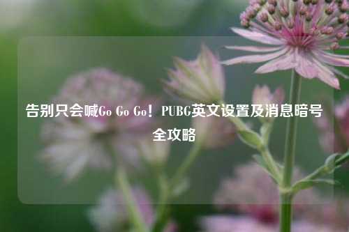 告别只会喊Go Go Go！PUBG英文设置及消息暗号全攻略