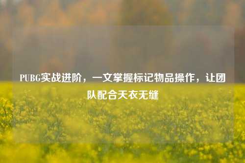 PUBG实战进阶，一文掌握标记物品操作，让团队配合天衣无缝