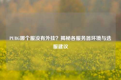PUBG哪个服没有外挂？揭秘各服务器环境与选服建议