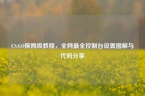 CS:GO保姆级教程，全网最全控制台设置图解与代码分享