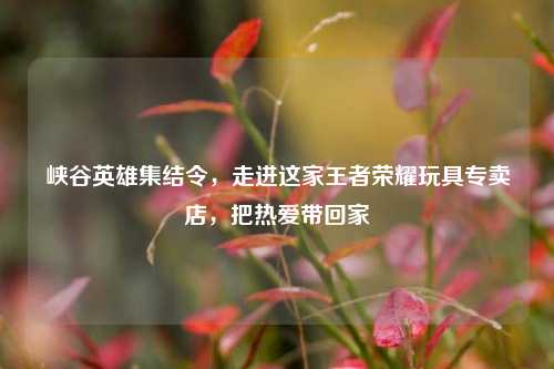 峡谷英雄集结令，走进这家王者荣耀玩具专卖店，把热爱带回家