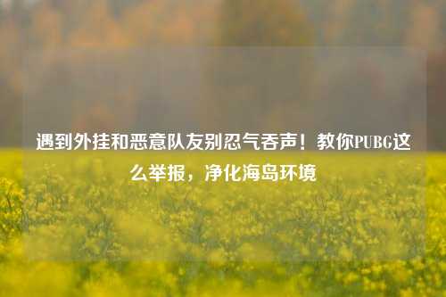 遇到外挂和恶意队友别忍气吞声！教你PUBG这么举报，净化海岛环境