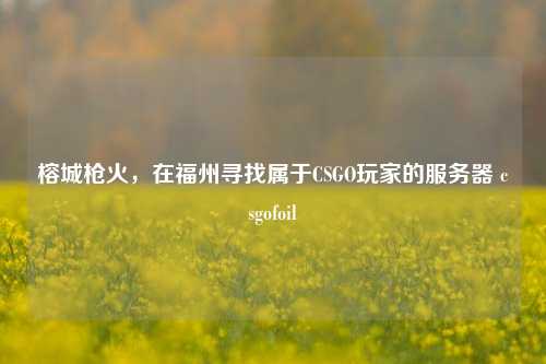 榕城枪火，在福州寻找属于CSGO玩家的服务器 csgofoil
