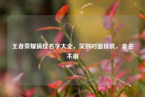 王者荣耀搞怪名字大全，笑到对面挂机，拿去不谢