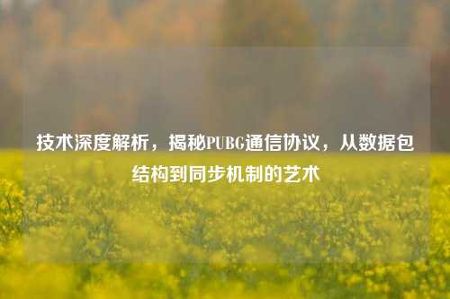 技术深度解析，揭秘PUBG通信协议，从数据包结构到同步机制的艺术