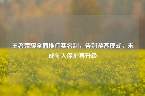 王者荣耀全面推行实名制，告别游客模式，未成年人保护再升级