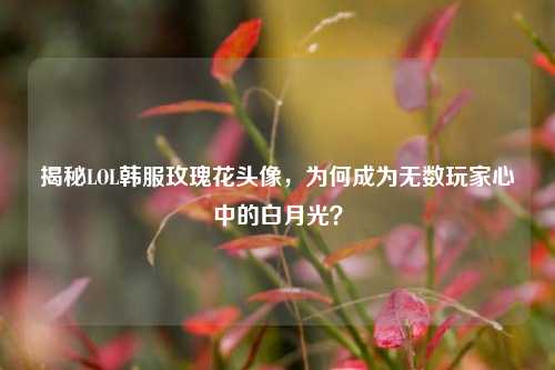 揭秘LOL韩服玫瑰花头像，为何成为无数玩家心中的白月光？